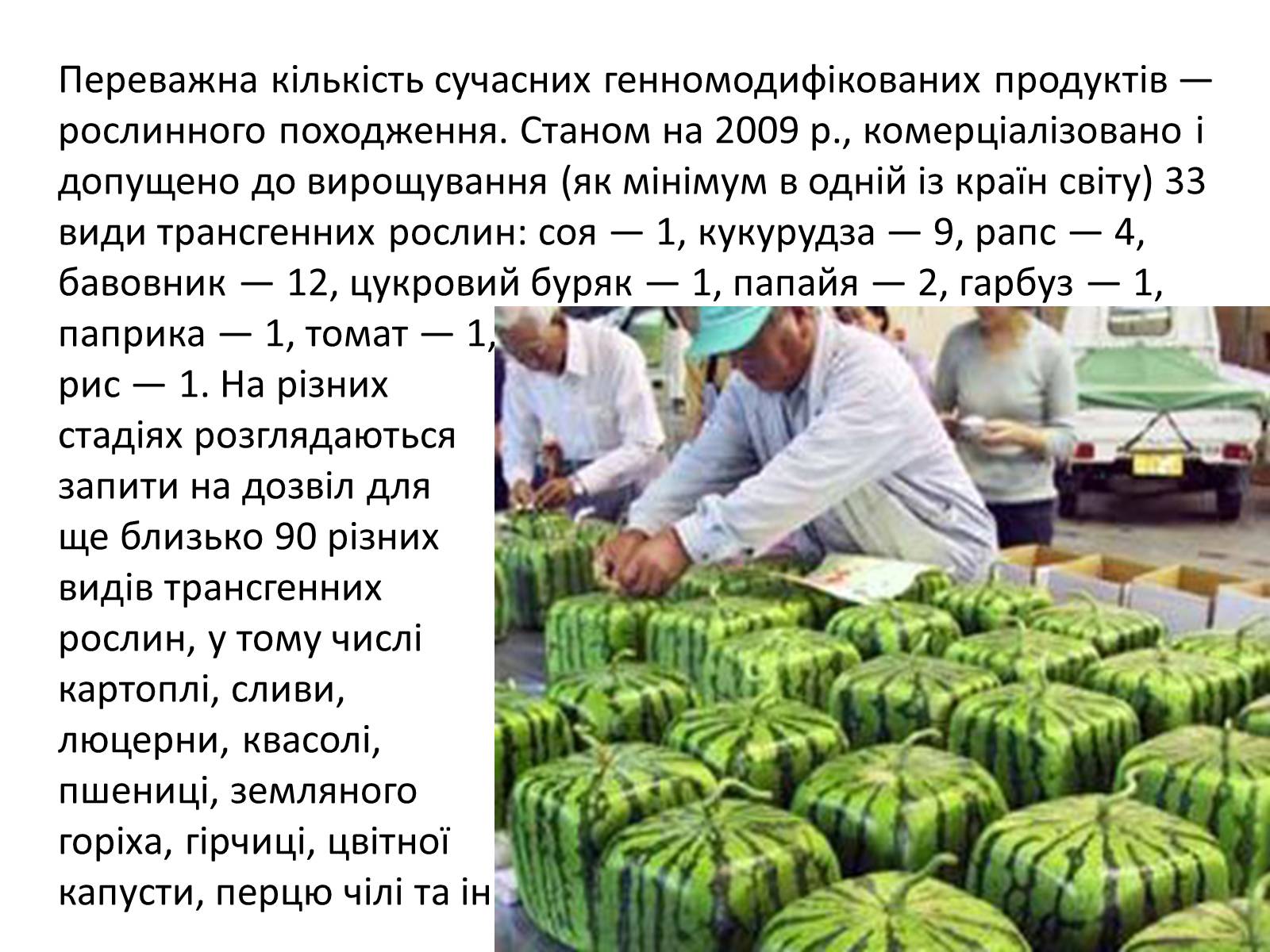 Презентація на тему «Транзгенні та химерні організми» - Слайд #7 Презентація на тему «Транзгенні та химерні організми» - Слайд #7