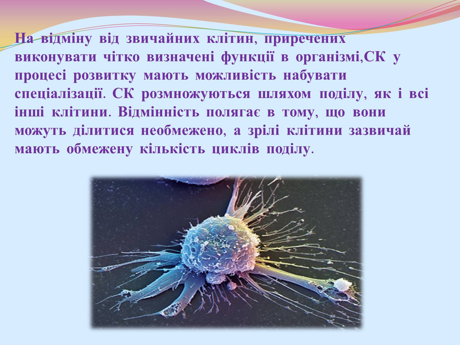 Презентація на тему «Клонування і ембріотехнології» (варіант 2) - Слайд #6 Презентація на тему «Клонування і ембріотехнології» (варіант 2) - Слайд #6