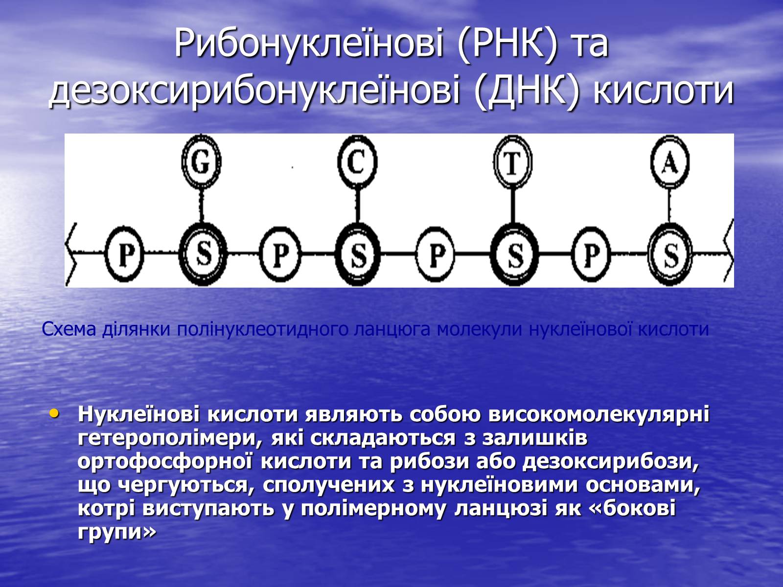 Презентація на тему «Нуклеїнові кислоти» (варіант 6) - Слайд #16 Презентація на тему «Нуклеїнові кислоти» (варіант 6) - Слайд #16