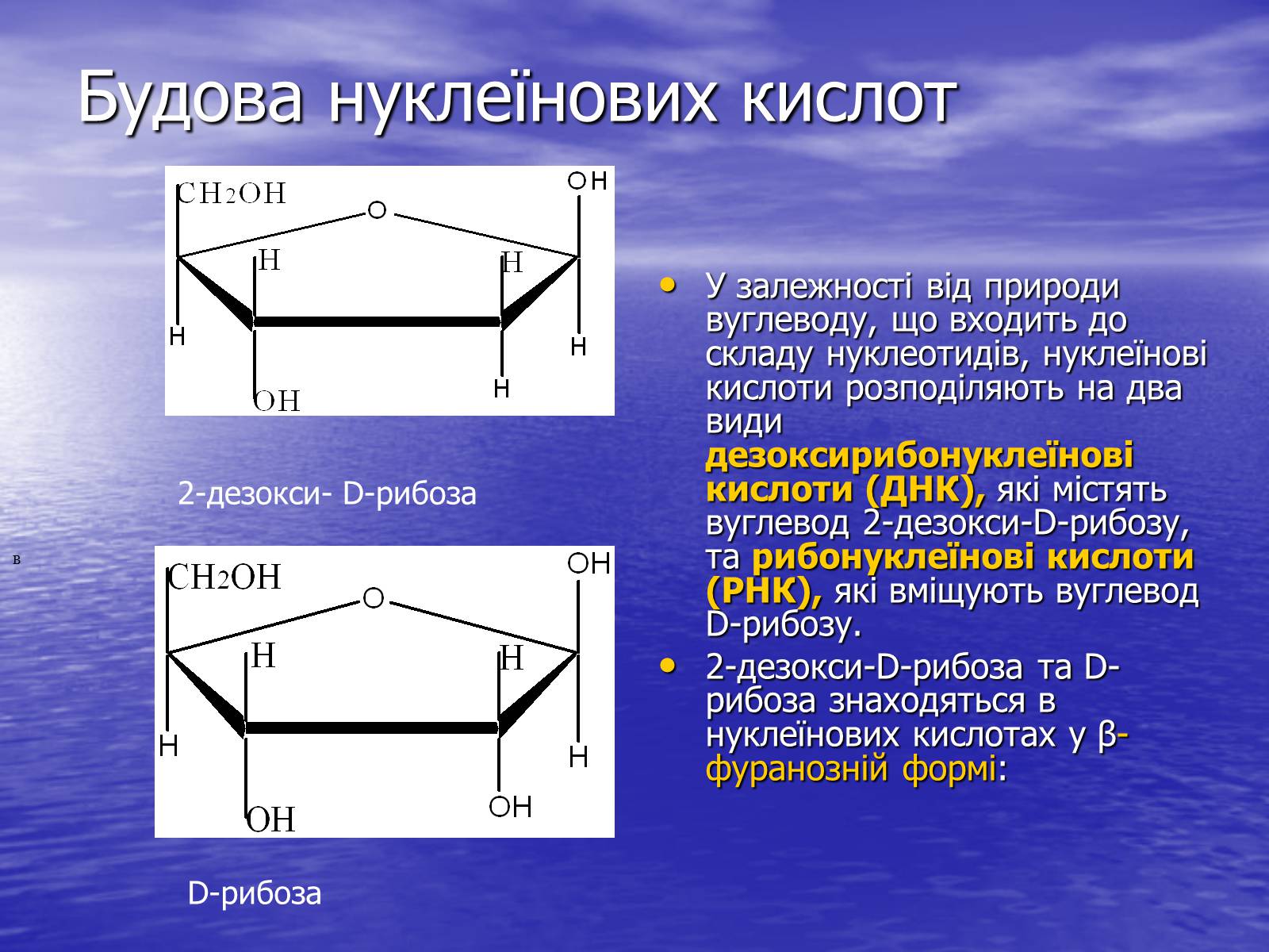 Презентація на тему «Нуклеїнові кислоти» (варіант 6) - Слайд #5 Презентація на тему «Нуклеїнові кислоти» (варіант 6) - Слайд #5