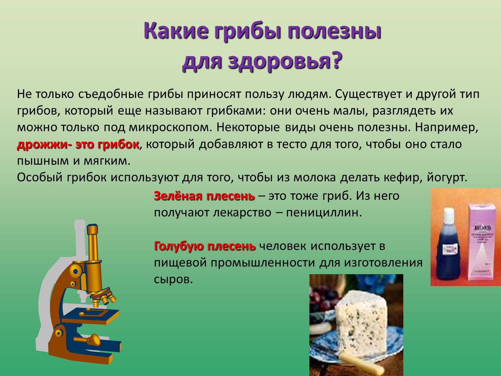 Презентація на тему «Растения» - Слайд #10 Презентація на тему «Растения» - Слайд #10