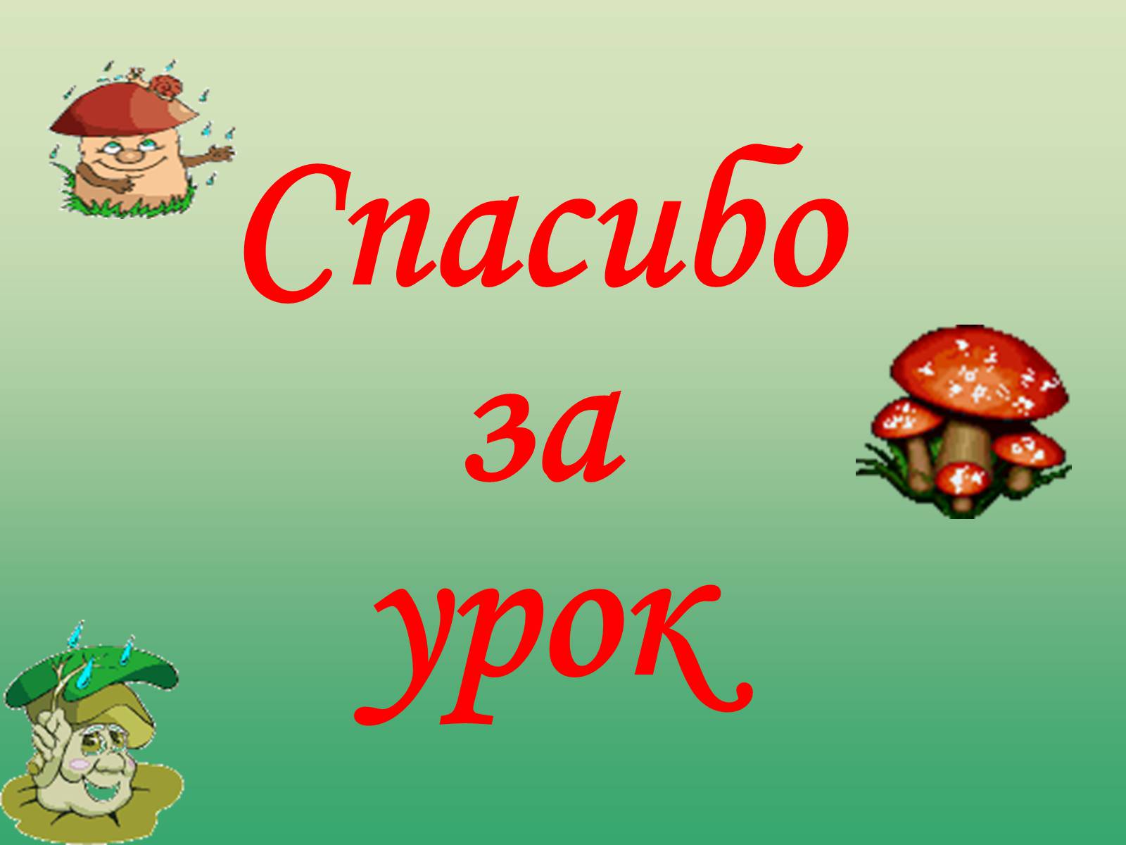 Презентація на тему «Растения» - Слайд #13 Презентація на тему «Растения» - Слайд #13