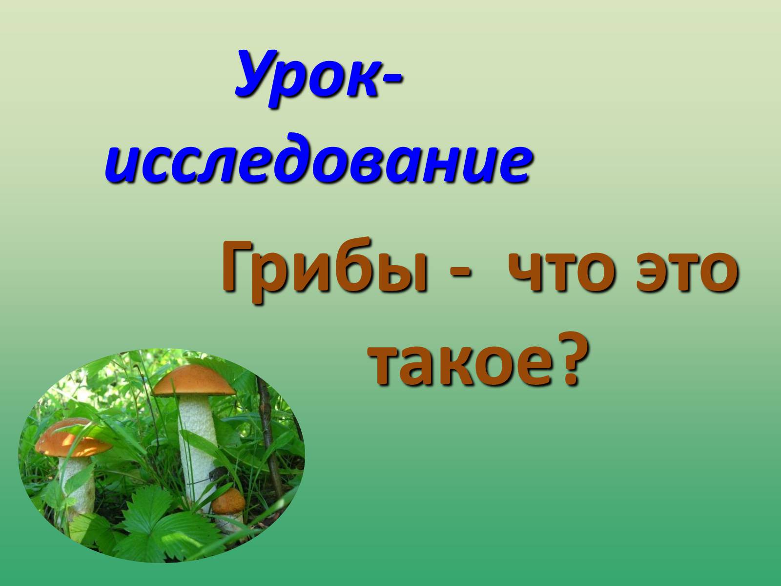 Презентація на тему «Растения» - Слайд #2 Презентація на тему «Растения» - Слайд #2