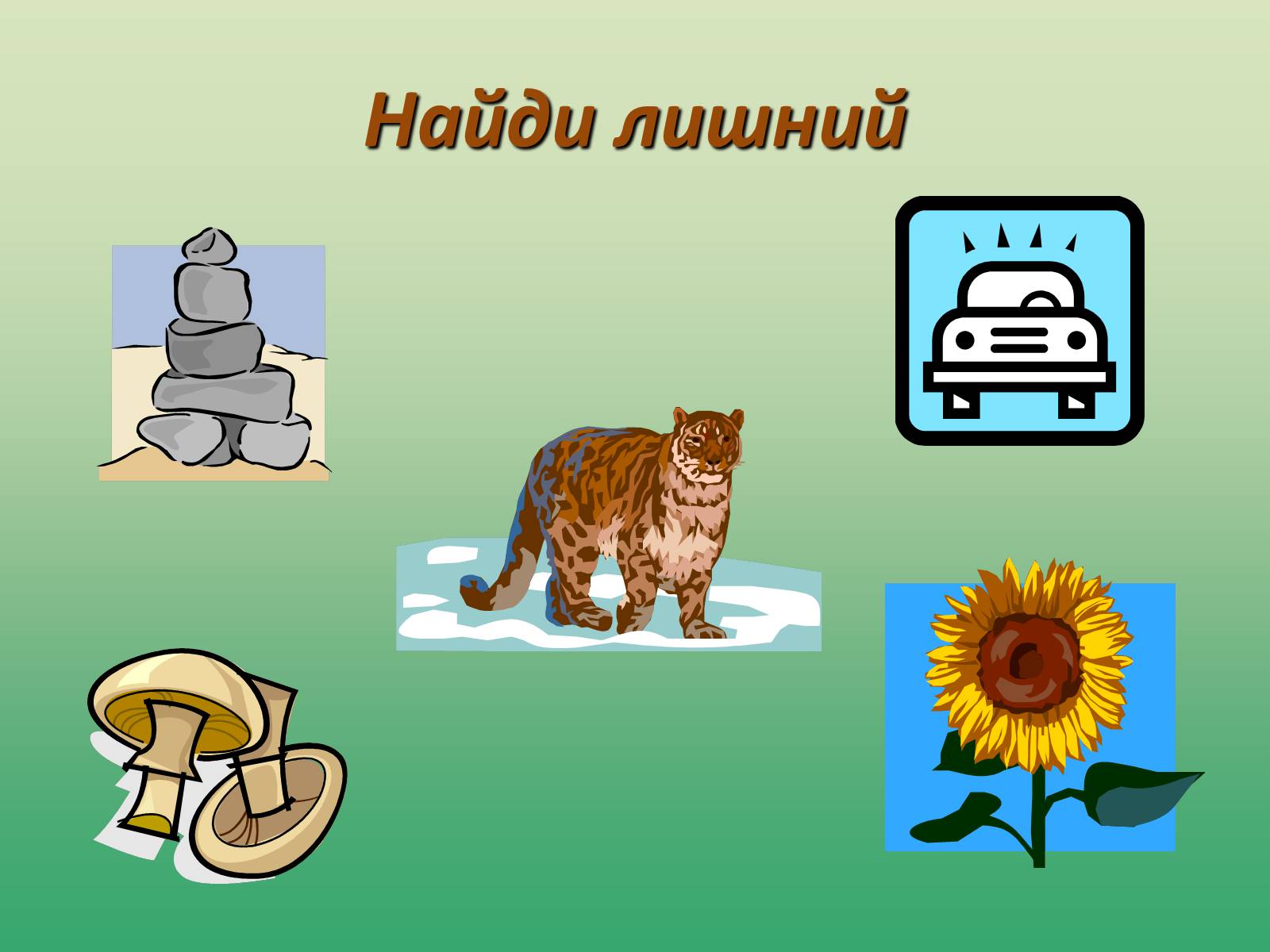 Презентація на тему «Растения» - Слайд #3 Презентація на тему «Растения» - Слайд #3
