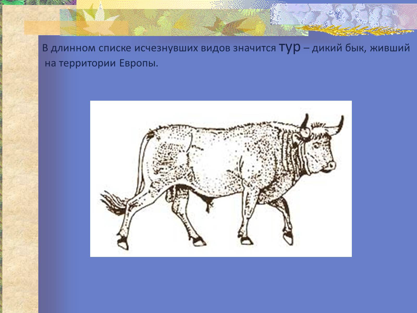 Презентація на тему «Воздействие человека и его деятельности на животных» - Слайд #11 Презентація на тему «Воздействие человека и его деятельности на животных» - Слайд #11