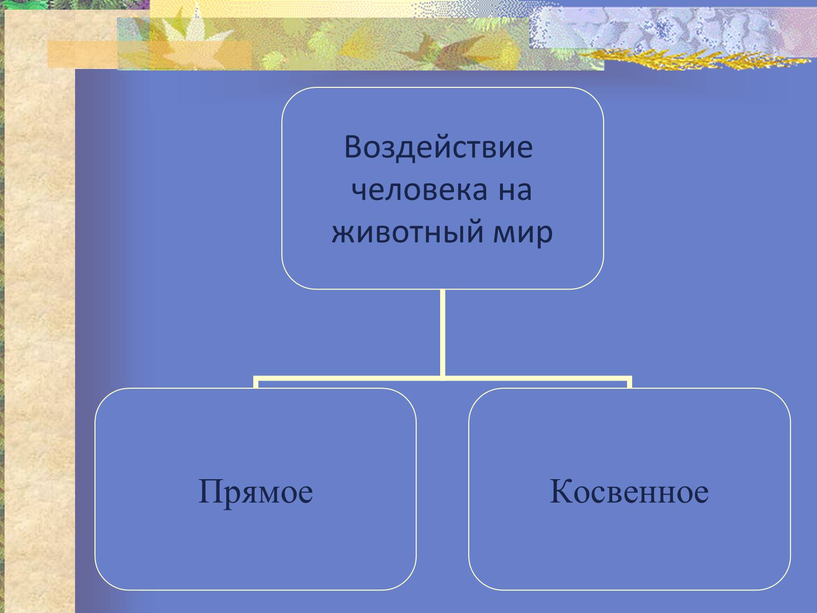 Презентація на тему «Воздействие человека и его деятельности на животных» - Слайд #8 Презентація на тему «Воздействие человека и его деятельности на животных» - Слайд #8