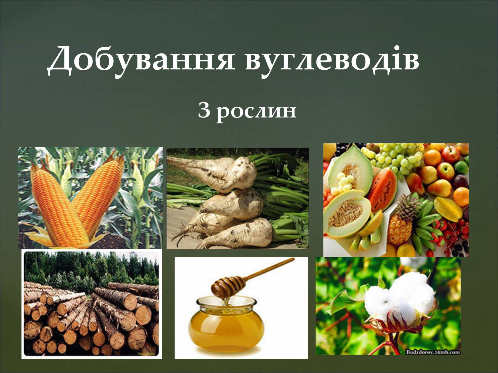 Презентація на тему «Вуглеводи як компоненти їжі, їх роль у житті людини» (варіант 35) - Слайд #16 Презентація на тему «Вуглеводи як компоненти їжі, їх роль у житті людини» (варіант 35) - Слайд #16