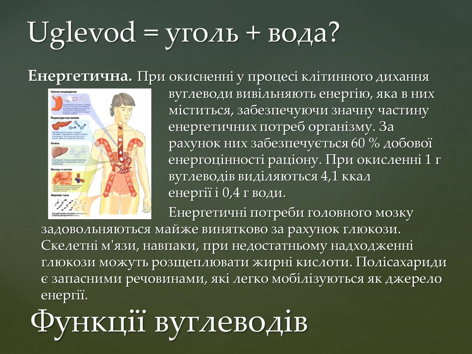 Презентація на тему «Вуглеводи як компоненти їжі, їх роль у житті людини» (варіант 31) - Слайд #11 Презентація на тему «Вуглеводи як компоненти їжі, їх роль у житті людини» (варіант 31) - Слайд #11