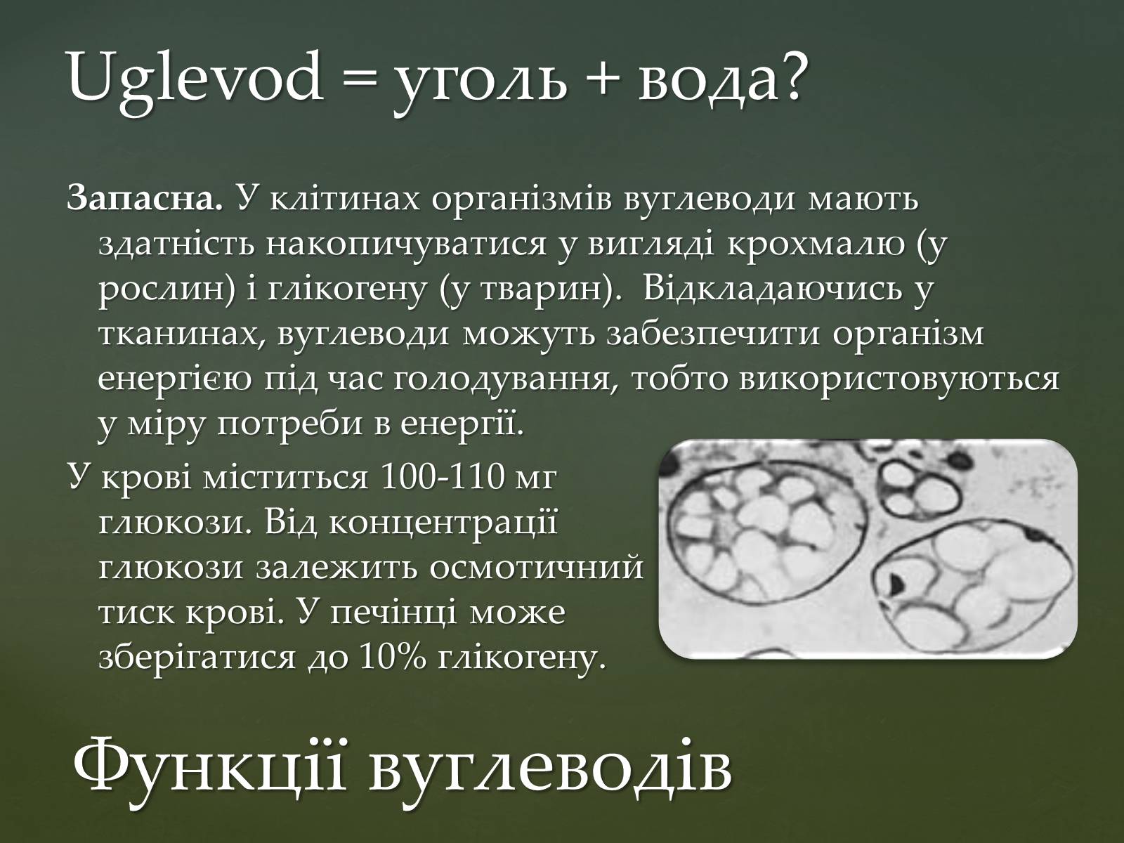 Презентація на тему «Вуглеводи як компоненти їжі, їх роль у житті людини» (варіант 31) - Слайд #14 Презентація на тему «Вуглеводи як компоненти їжі, їх роль у житті людини» (варіант 31) - Слайд #14
