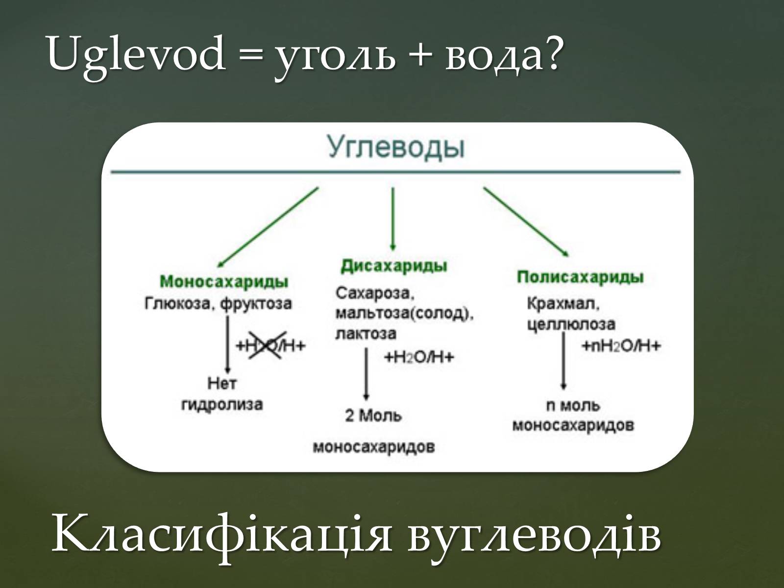 Презентація на тему «Вуглеводи як компоненти їжі, їх роль у житті людини» (варіант 31) - Слайд #6 Презентація на тему «Вуглеводи як компоненти їжі, їх роль у житті людини» (варіант 31) - Слайд #6