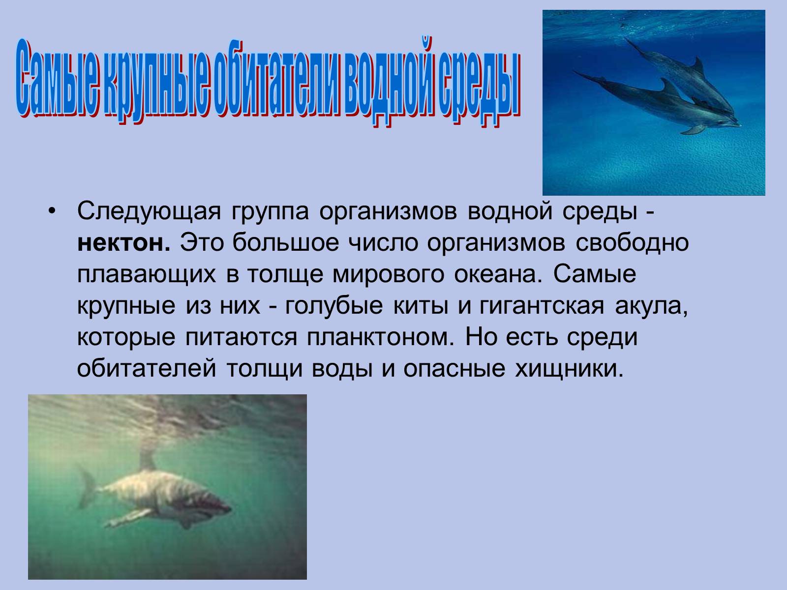 Презентація на тему «Водная среда» - Слайд #3 Презентація на тему «Водная среда» - Слайд #3