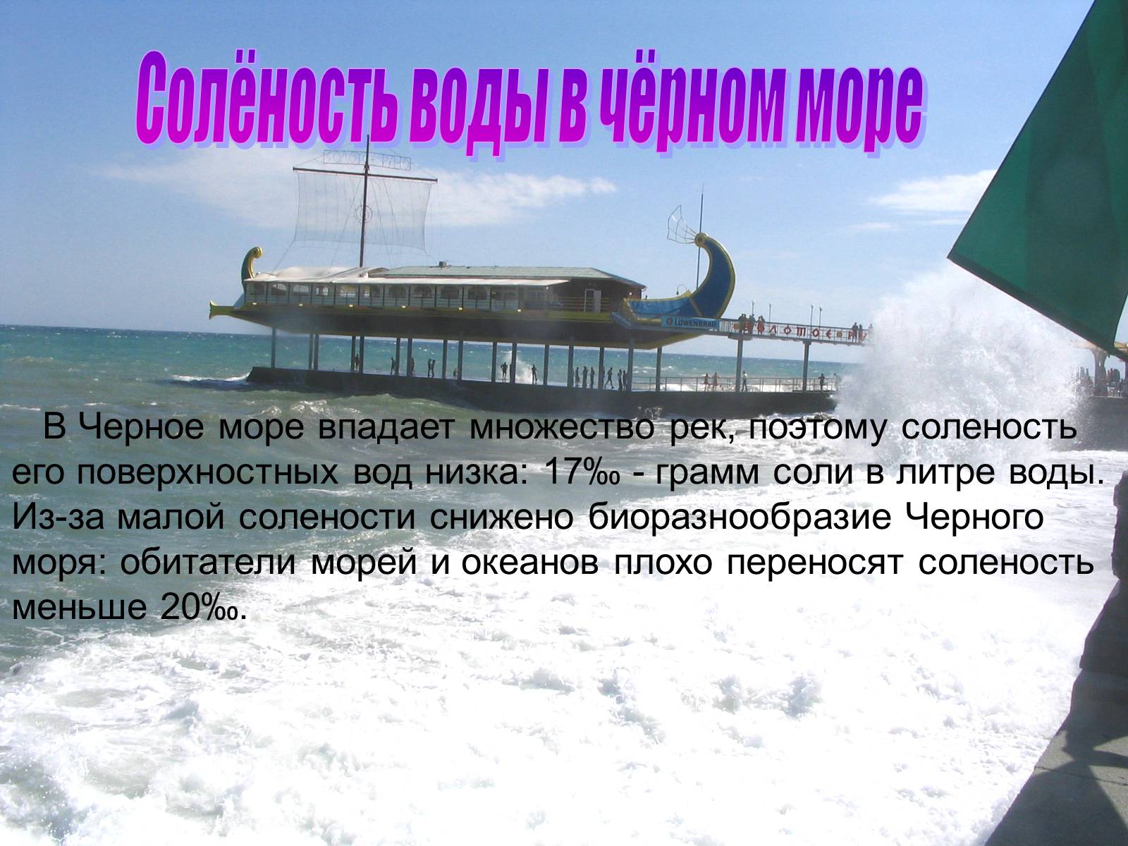 Презентація на тему «Водная среда» - Слайд #6 Презентація на тему «Водная среда» - Слайд #6