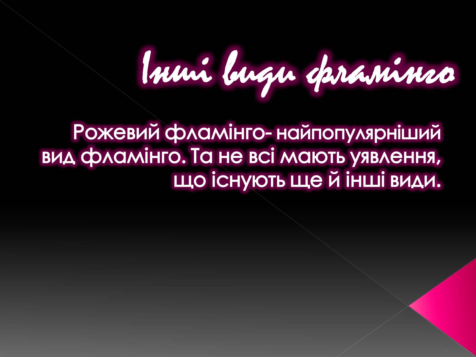 Презентація на тему «Фламiнго рожевий» - Слайд #16 Презентація на тему «Фламiнго рожевий» - Слайд #16