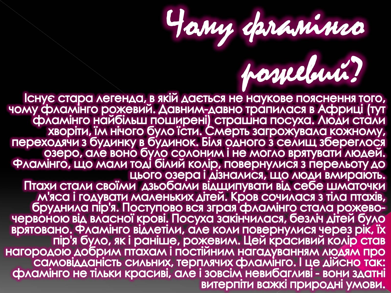 Презентація на тему «Фламiнго рожевий» - Слайд #6 Презентація на тему «Фламiнго рожевий» - Слайд #6