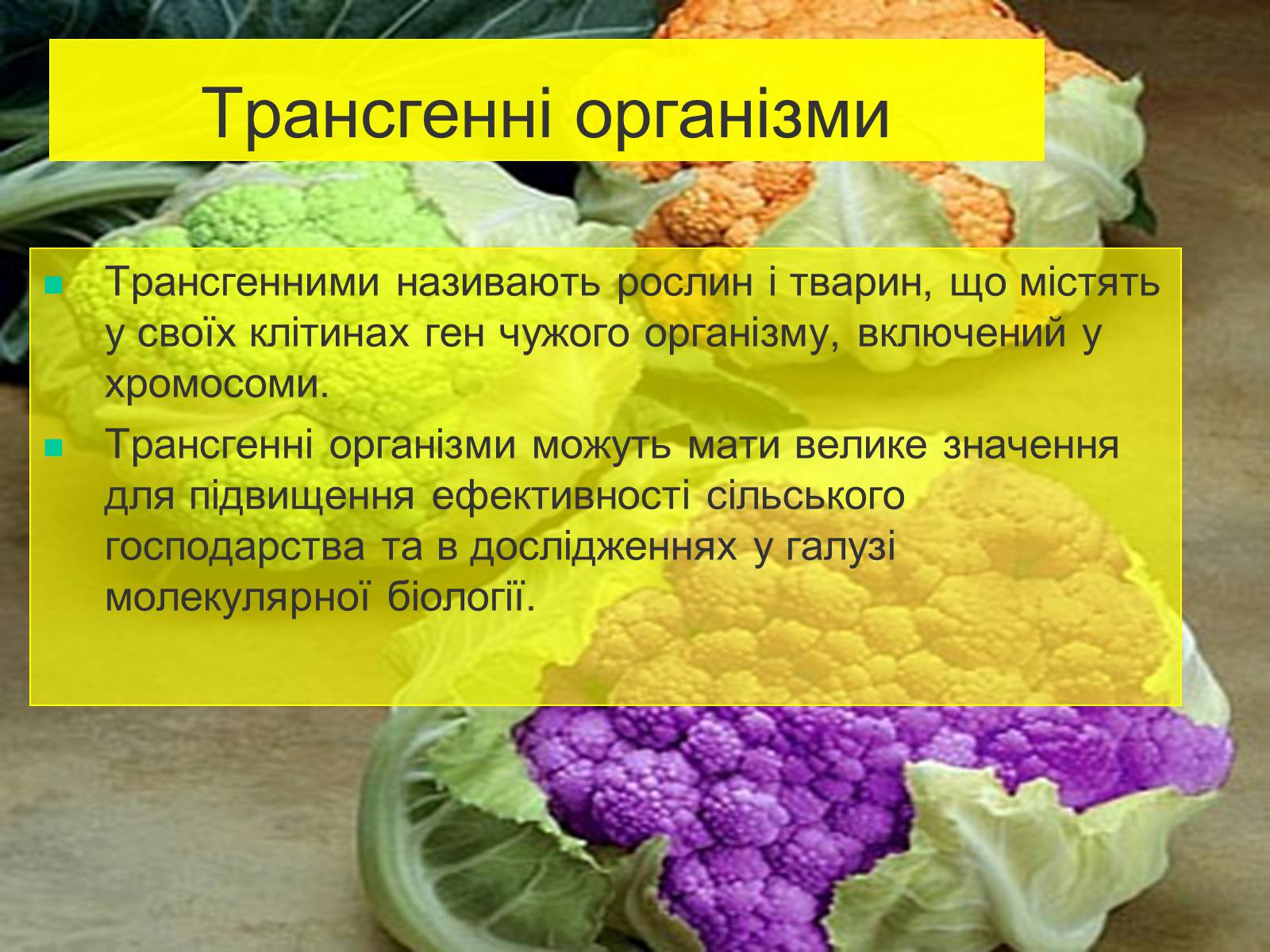 Презентація на тему «Трансгенні та химерні організми» (варіант 4) - Слайд #2 Презентація на тему «Трансгенні та химерні організми» (варіант 4) - Слайд #2