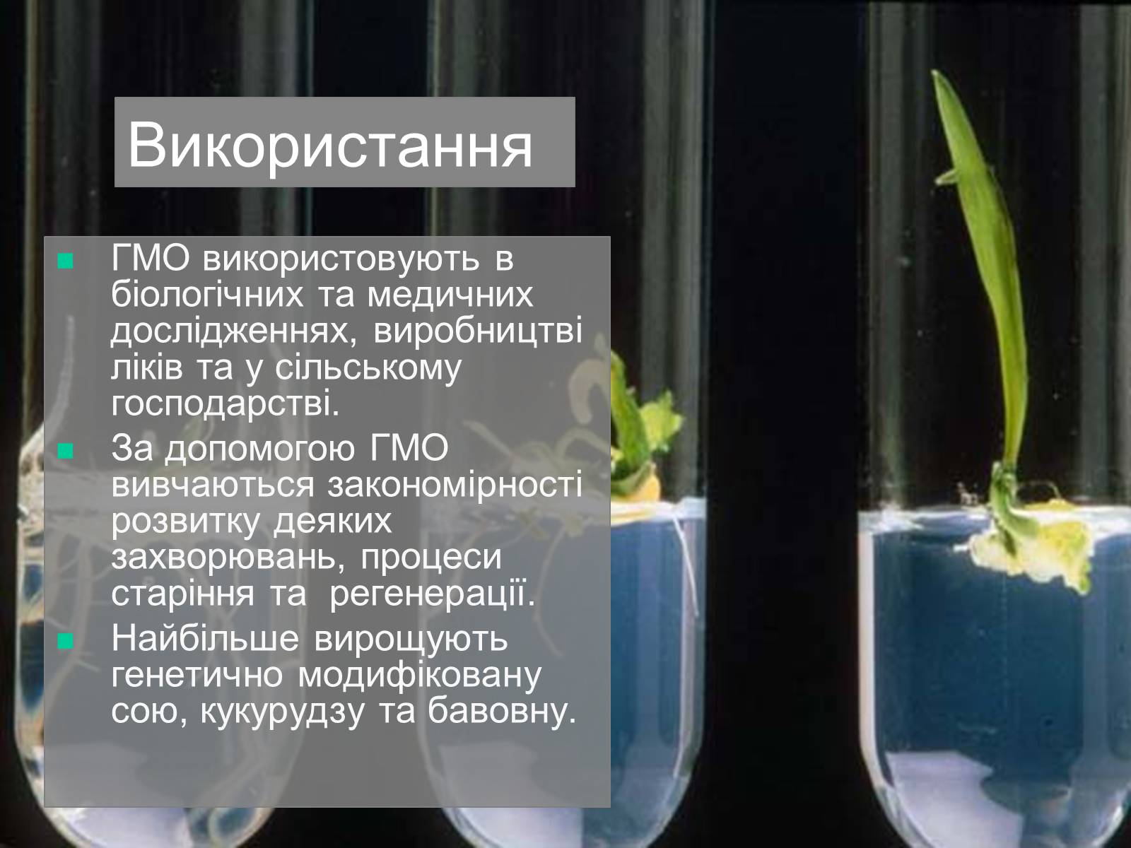 Презентація на тему «Трансгенні та химерні організми» (варіант 4) - Слайд #4 Презентація на тему «Трансгенні та химерні організми» (варіант 4) - Слайд #4