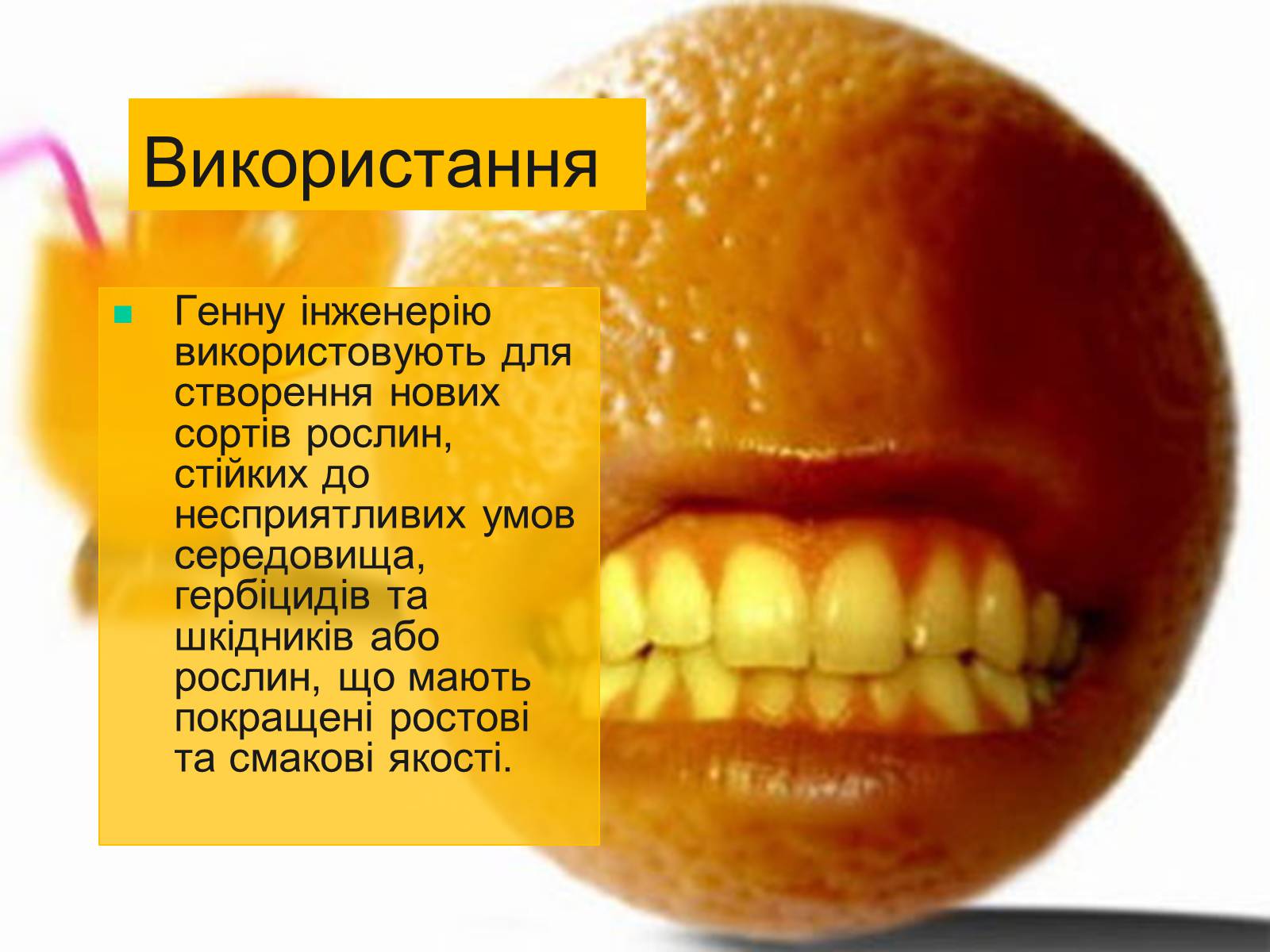 Презентація на тему «Трансгенні та химерні організми» (варіант 4) - Слайд #5 Презентація на тему «Трансгенні та химерні організми» (варіант 4) - Слайд #5