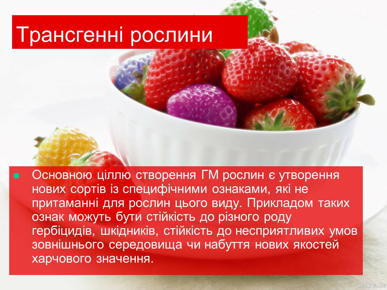 Презентація на тему «Трансгенні та химерні організми» (варіант 4) - Слайд #8 Презентація на тему «Трансгенні та химерні організми» (варіант 4) - Слайд #8
