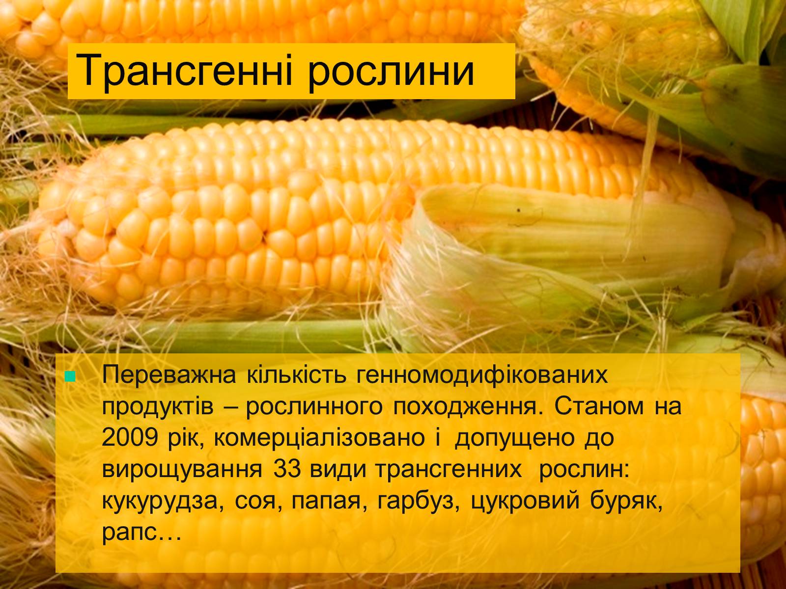Презентація на тему «Трансгенні та химерні організми» (варіант 4) - Слайд #9 Презентація на тему «Трансгенні та химерні організми» (варіант 4) - Слайд #9