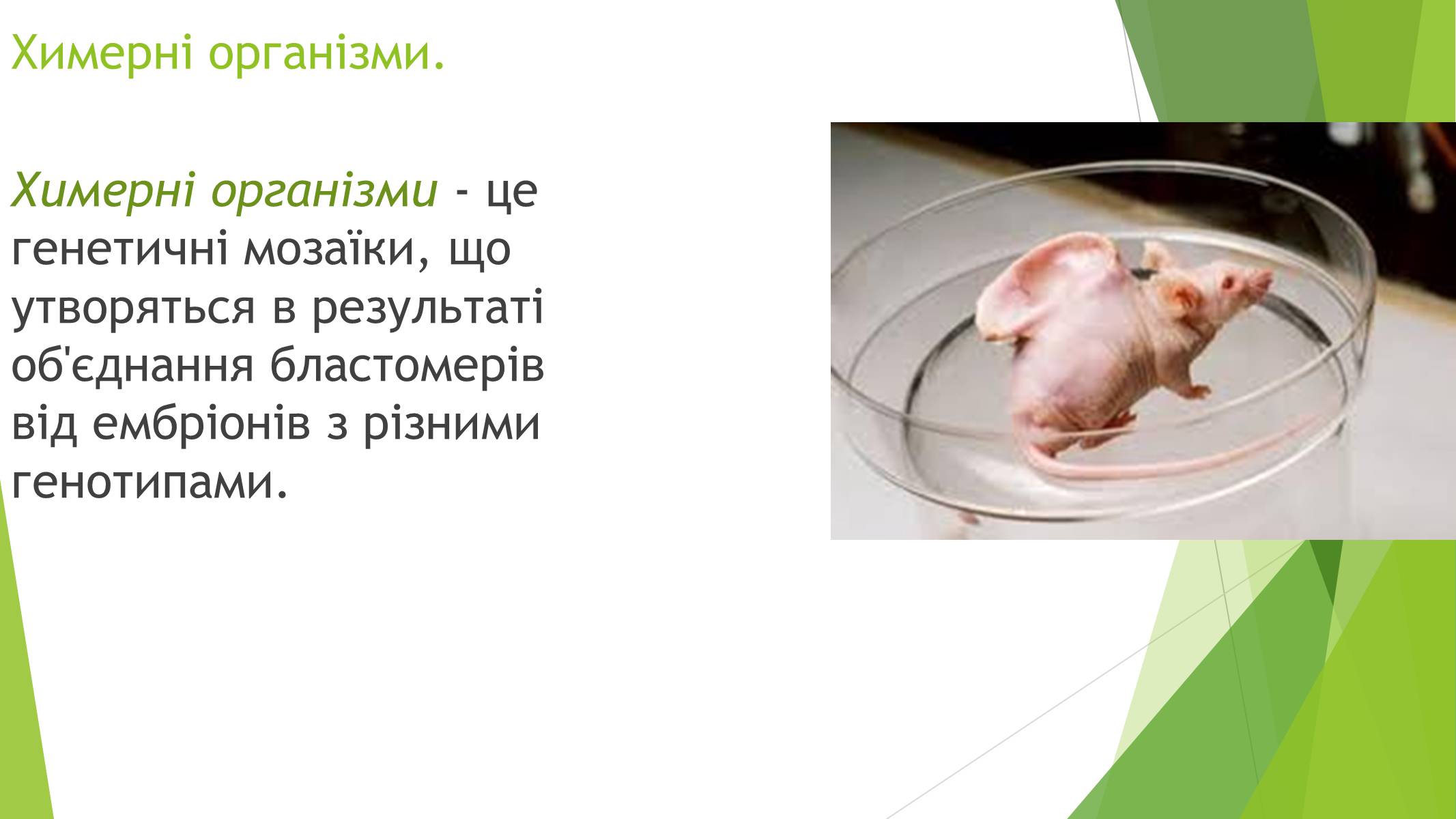 Презентація на тему «Основні напрями сучасної біотехнології» - Слайд #10 Презентація на тему «Основні напрями сучасної біотехнології» - Слайд #10