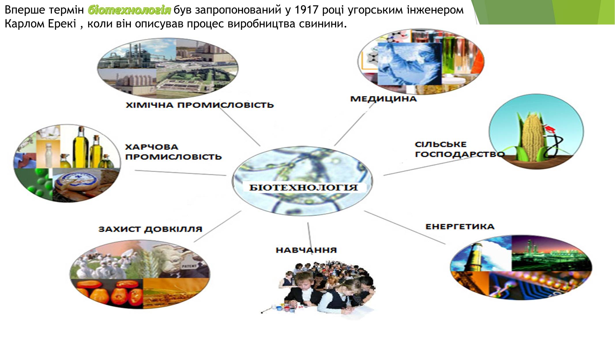Презентація на тему «Основні напрями сучасної біотехнології» - Слайд #2 Презентація на тему «Основні напрями сучасної біотехнології» - Слайд #2