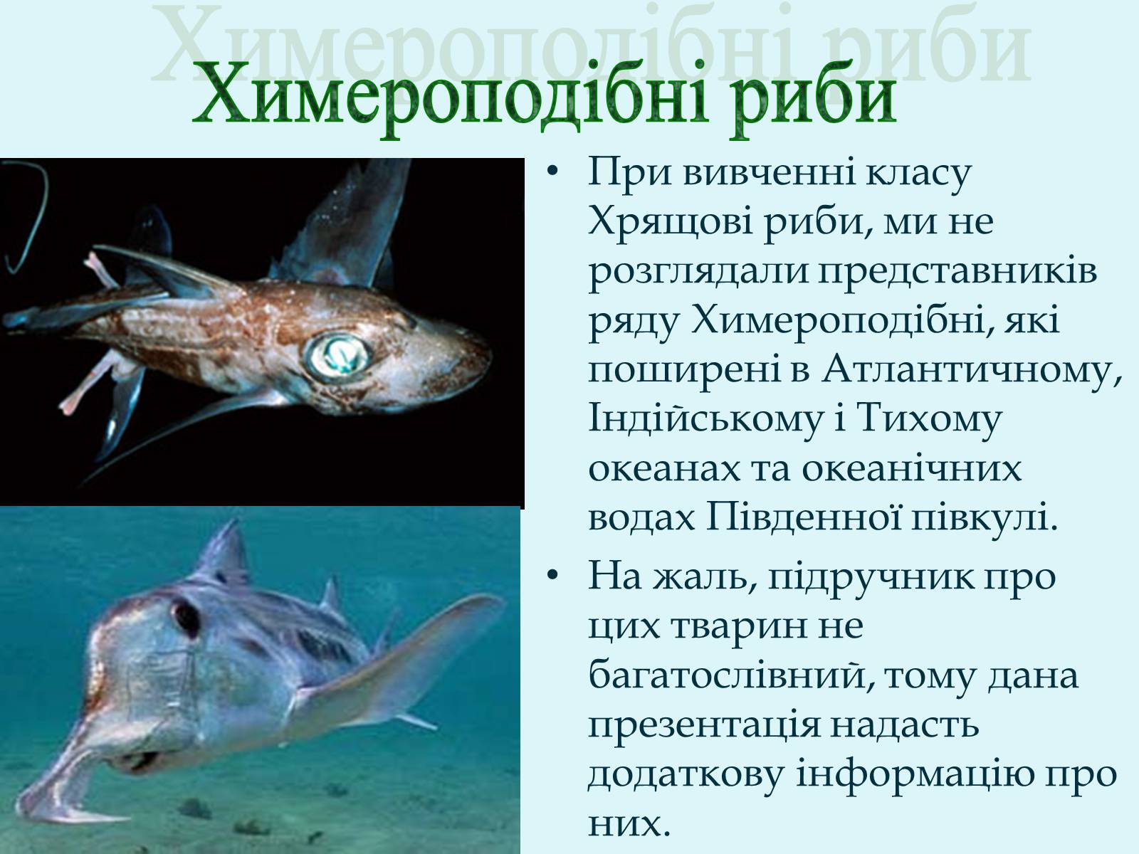 Презентація на тему «Морські химери» - Слайд #2 Презентація на тему «Морські химери» - Слайд #2