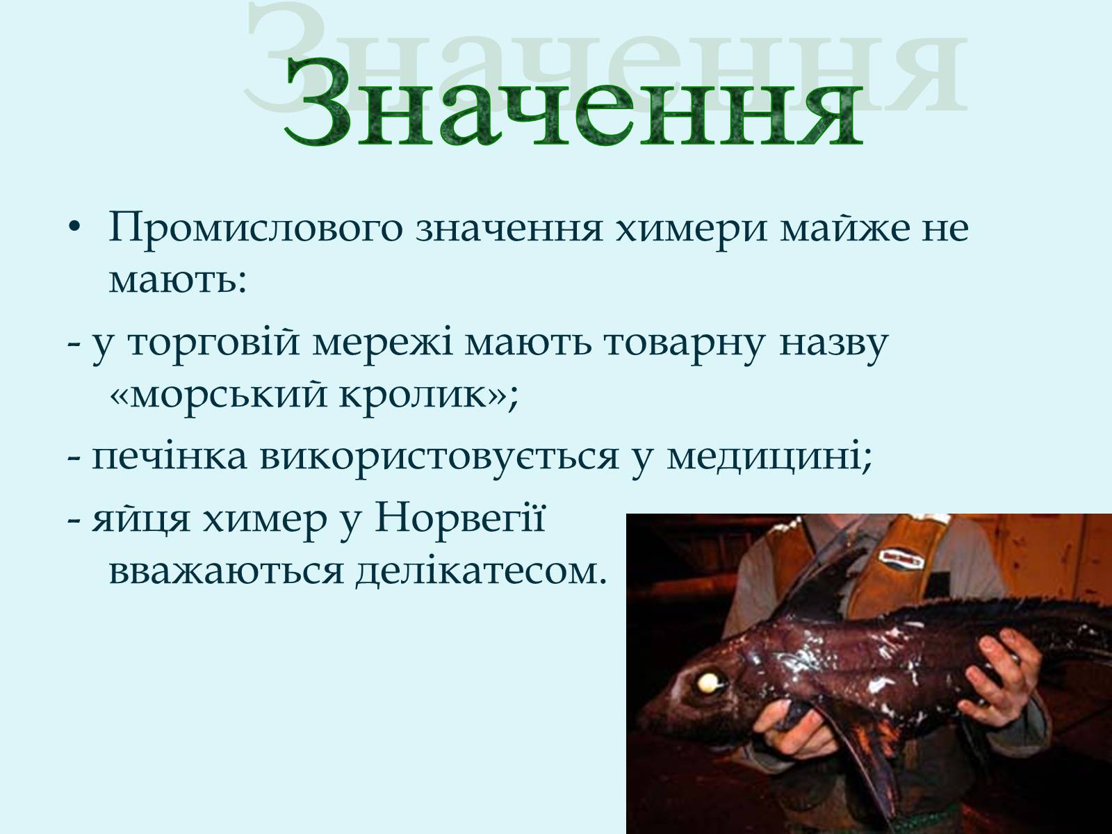 Презентація на тему «Морські химери» - Слайд #21 Презентація на тему «Морські химери» - Слайд #21