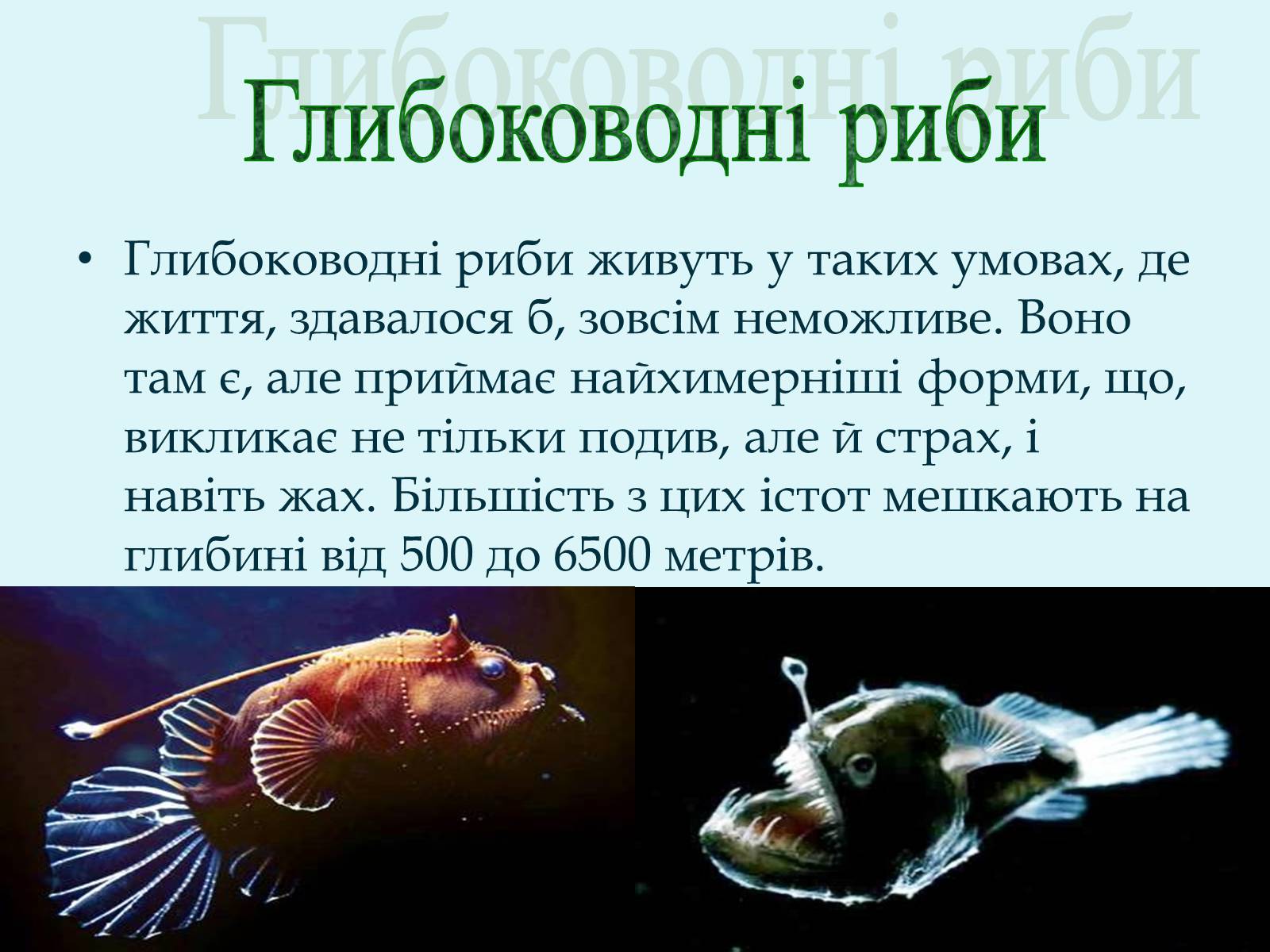 Презентація на тему «Морські химери» - Слайд #9 Презентація на тему «Морські химери» - Слайд #9