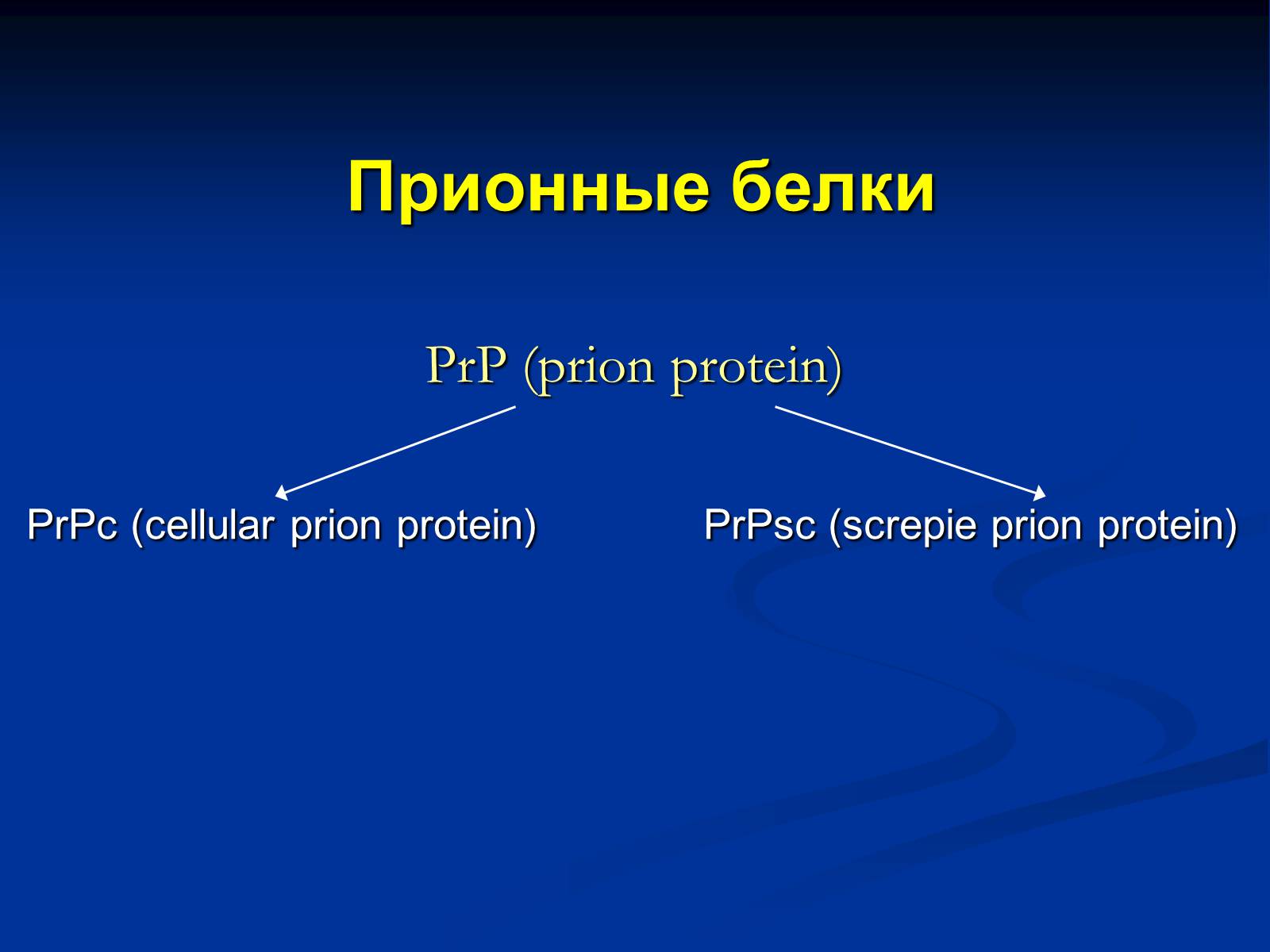 Презентація на тему «Вирусология» - Слайд #21 Презентація на тему «Вирусология» - Слайд #21