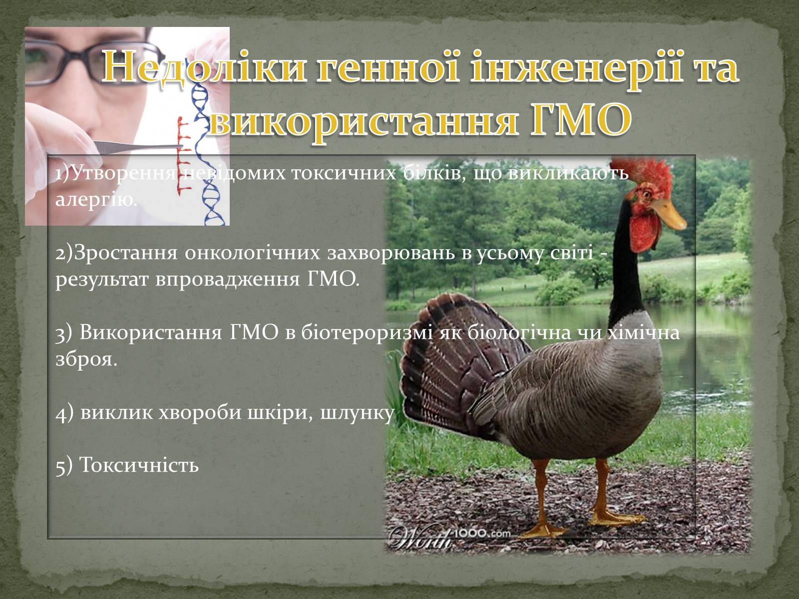 Презентація на тему «Генна інженерія» (варіант 2) - Слайд #11 Презентація на тему «Генна інженерія» (варіант 2) - Слайд #11