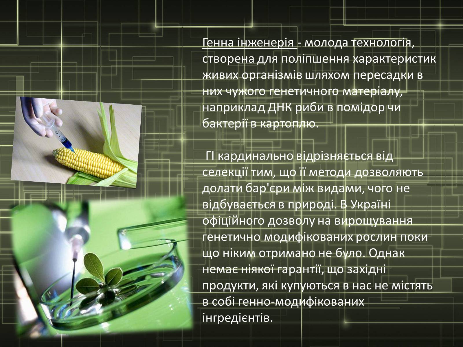 Презентація на тему «Генна інженерія» (варіант 2) - Слайд #4 Презентація на тему «Генна інженерія» (варіант 2) - Слайд #4
