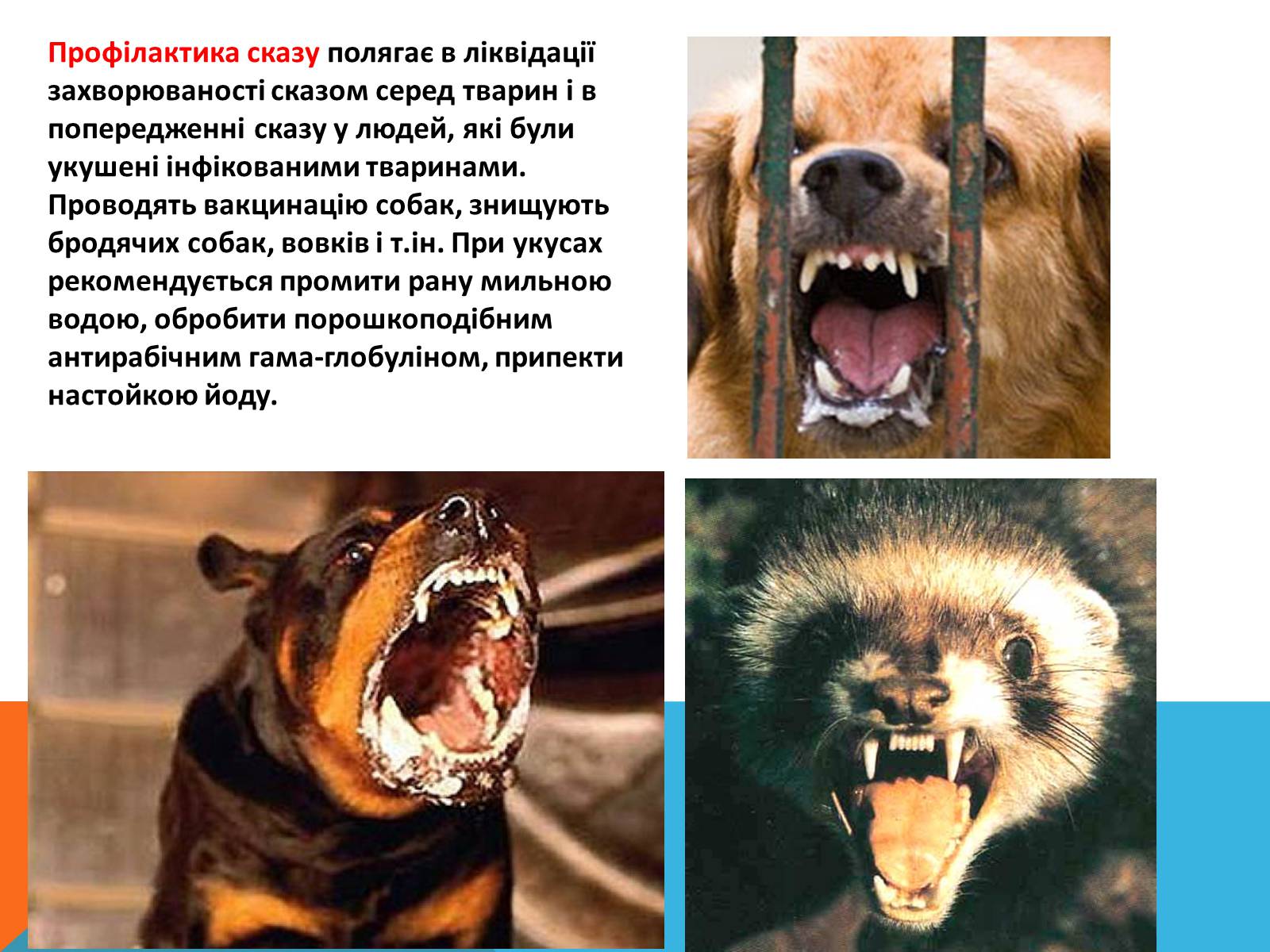 Презентація на тему «Перша допомога при отруэннях і укусах» - Слайд #3 Презентація на тему «Перша допомога при отруэннях і укусах» - Слайд #3