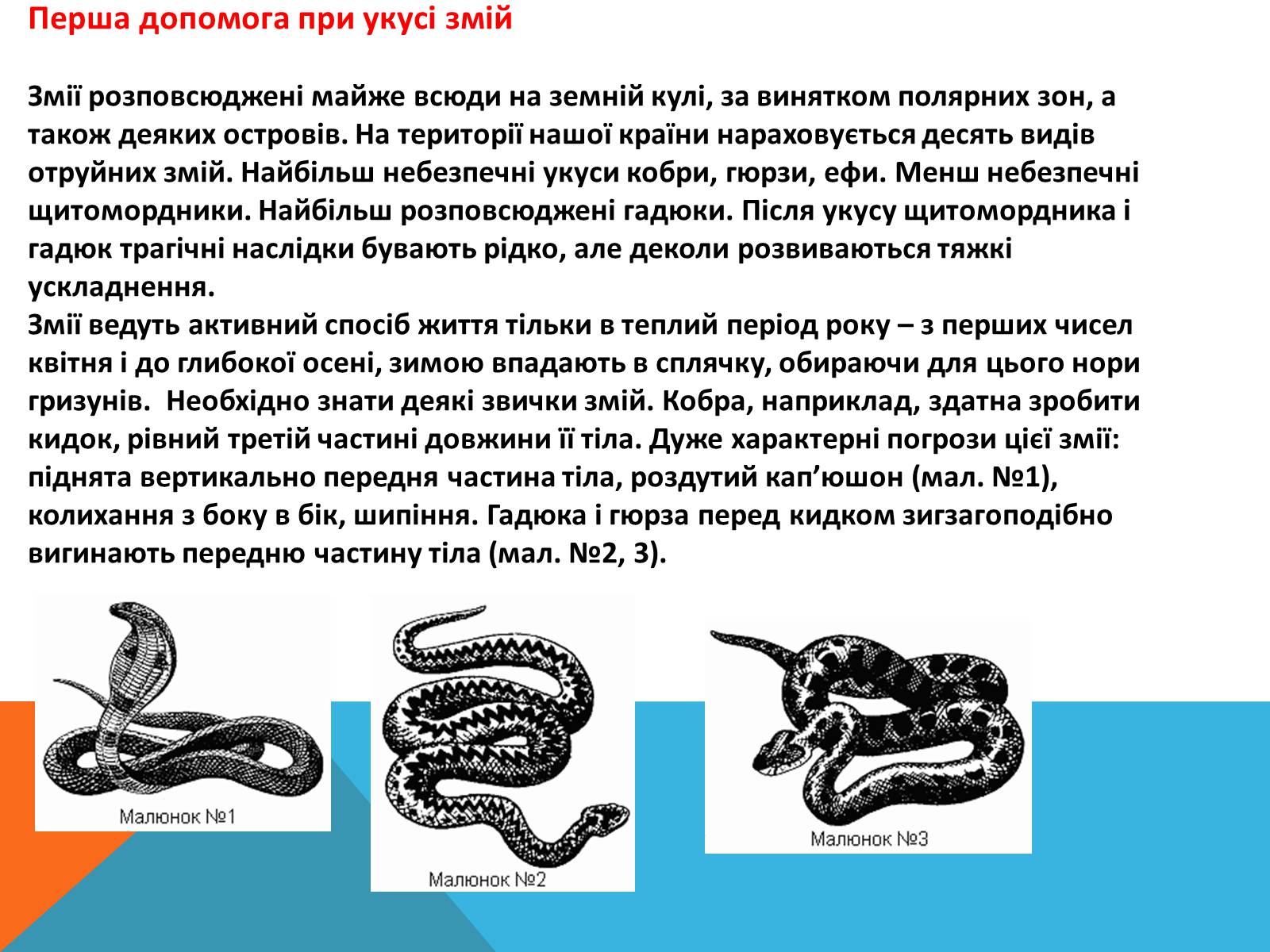 Презентація на тему «Перша допомога при отруэннях і укусах» - Слайд #4 Презентація на тему «Перша допомога при отруэннях і укусах» - Слайд #4