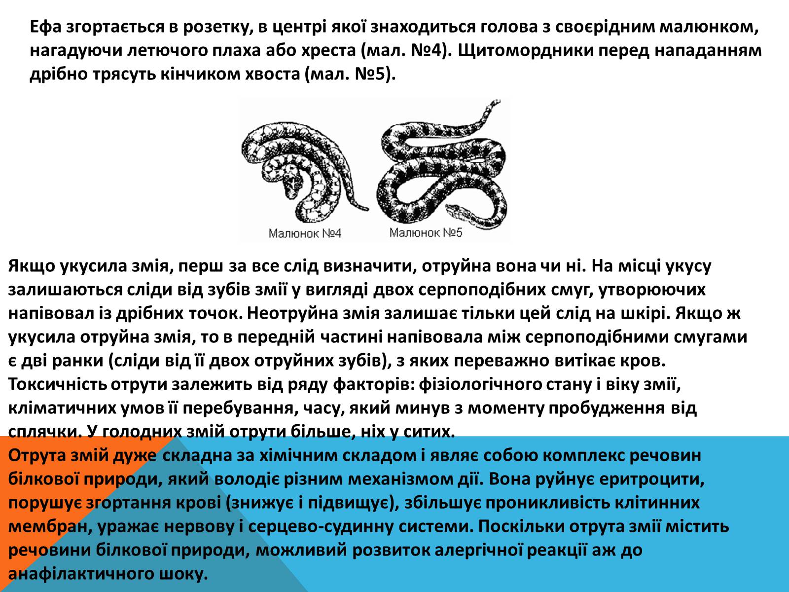 Презентація на тему «Перша допомога при отруэннях і укусах» - Слайд #5 Презентація на тему «Перша допомога при отруэннях і укусах» - Слайд #5