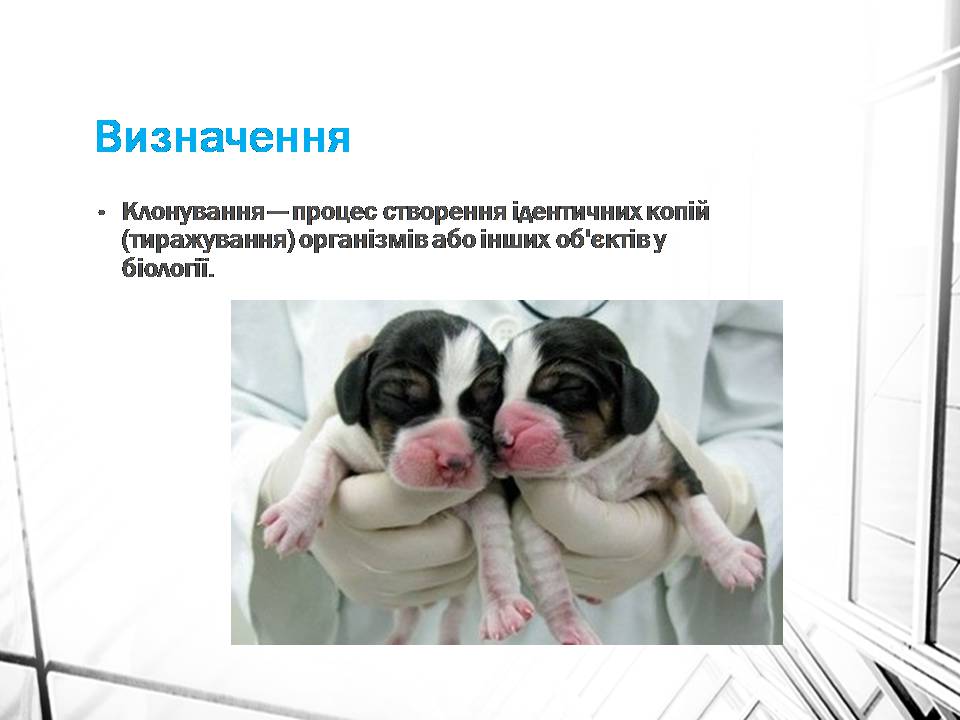 Презентація на тему «Клонування» (варіант 16) - Слайд #2 Презентація на тему «Клонування» (варіант 16) - Слайд #2
