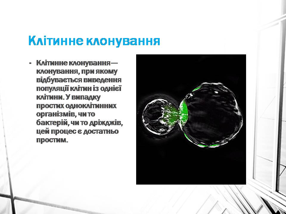Презентація на тему «Клонування» (варіант 16) - Слайд #3 Презентація на тему «Клонування» (варіант 16) - Слайд #3