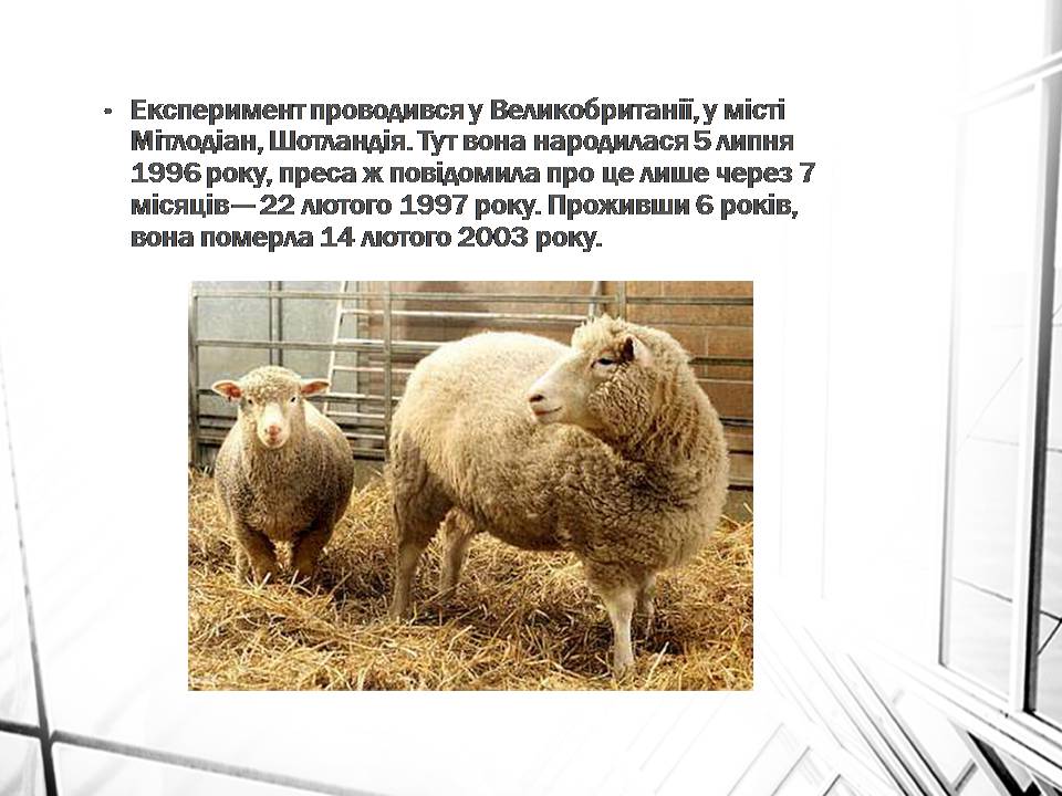 Презентація на тему «Клонування» (варіант 16) - Слайд #6 Презентація на тему «Клонування» (варіант 16) - Слайд #6