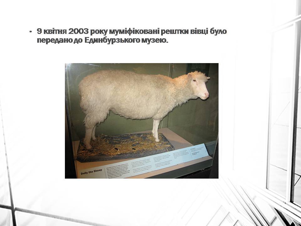 Презентація на тему «Клонування» (варіант 16) - Слайд #9 Презентація на тему «Клонування» (варіант 16) - Слайд #9