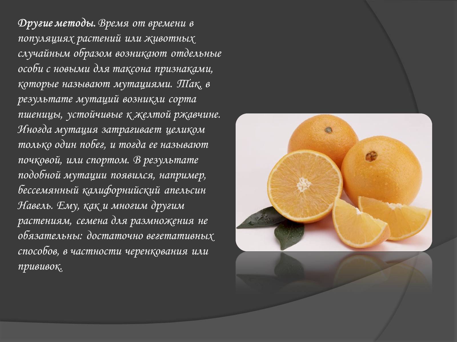 Презентація на тему «Селекція» (варіант 1) - Слайд #17 Презентація на тему «Селекція» (варіант 1) - Слайд #17