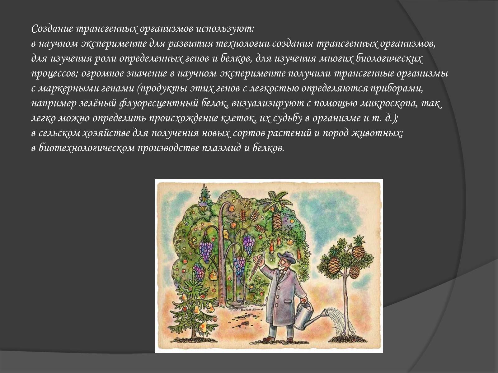 Презентація на тему «Селекція» (варіант 1) - Слайд #23 Презентація на тему «Селекція» (варіант 1) - Слайд #23
