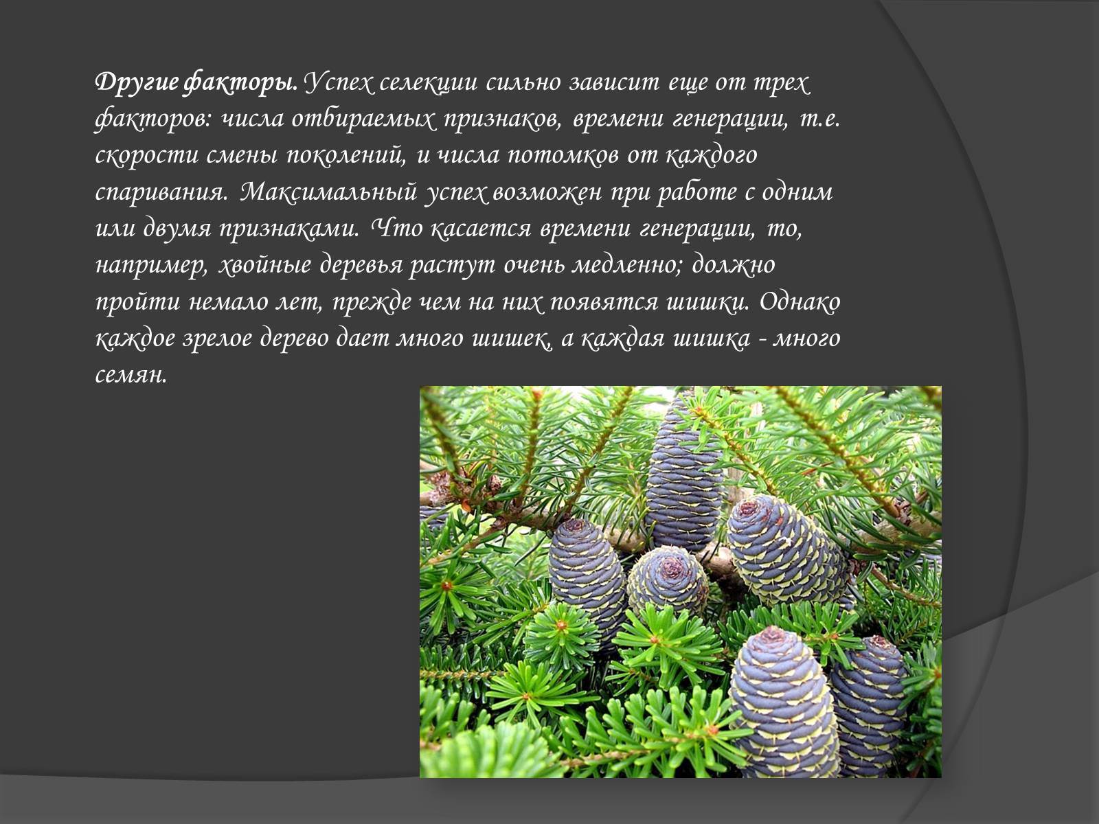Презентація на тему «Селекція» (варіант 1) - Слайд #9 Презентація на тему «Селекція» (варіант 1) - Слайд #9