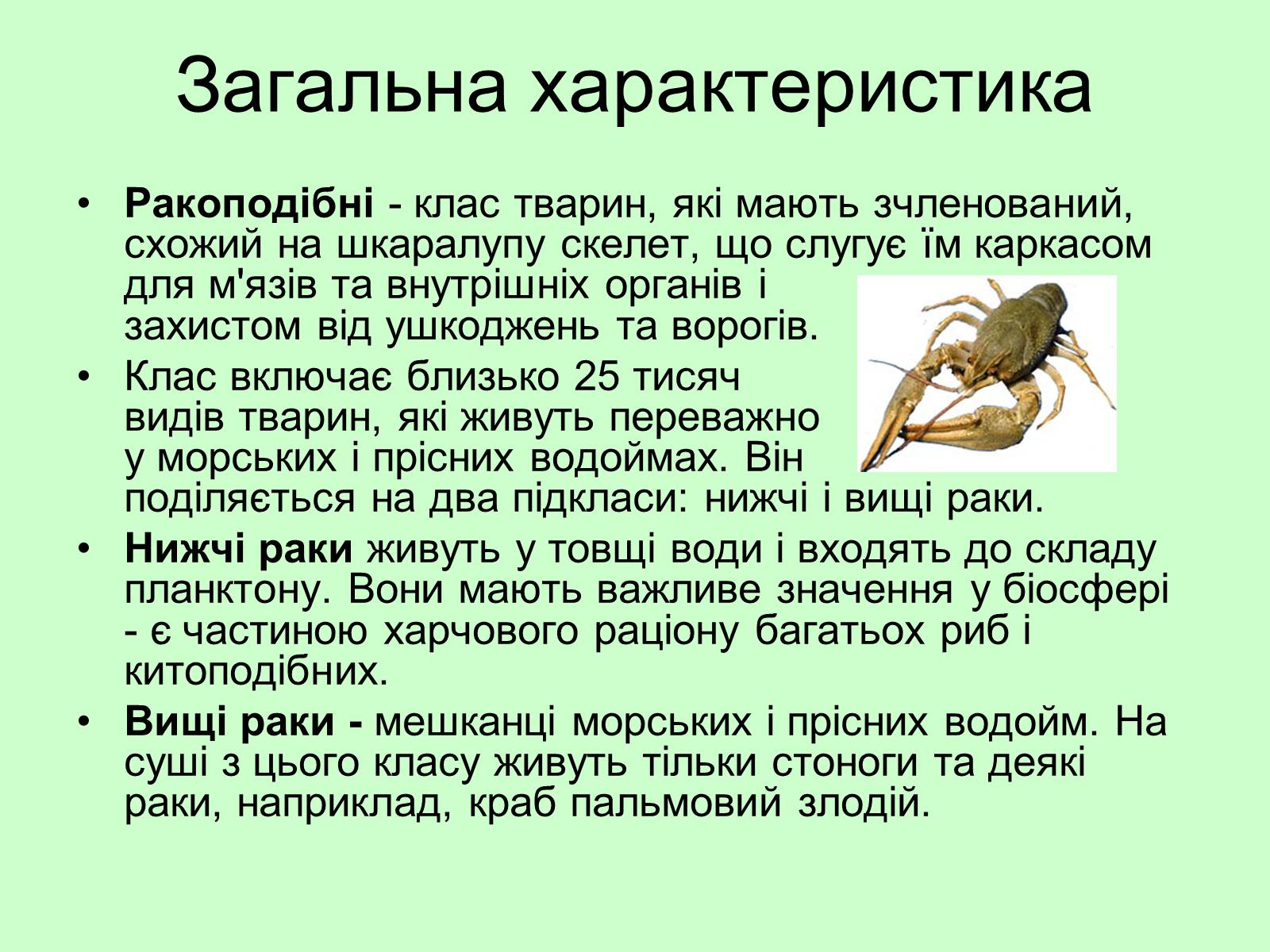 Презентація на тему «Ракоподібні» (варіант 3) - Слайд #2 Презентація на тему «Ракоподібні» (варіант 3) - Слайд #2