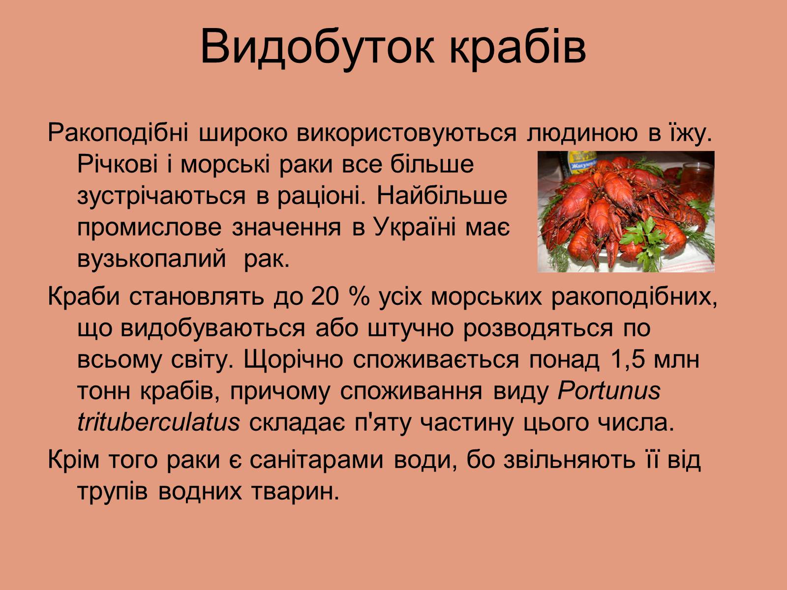 Презентація на тему «Ракоподібні» (варіант 3) - Слайд #23 Презентація на тему «Ракоподібні» (варіант 3) - Слайд #23
