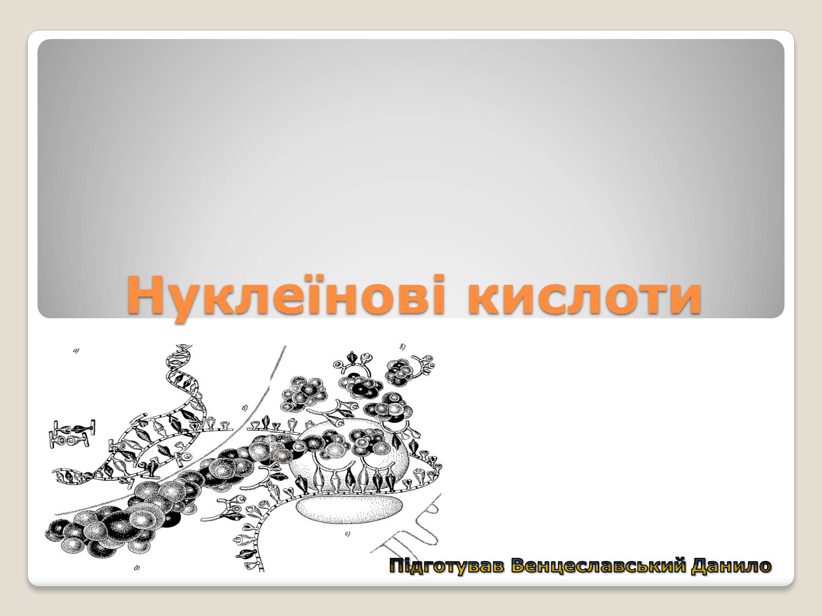 Презентація на тему «Нуклеїнові кислоти» (варіант 7) - Слайд #1 Презентація на тему «Нуклеїнові кислоти» (варіант 7) - Слайд #1