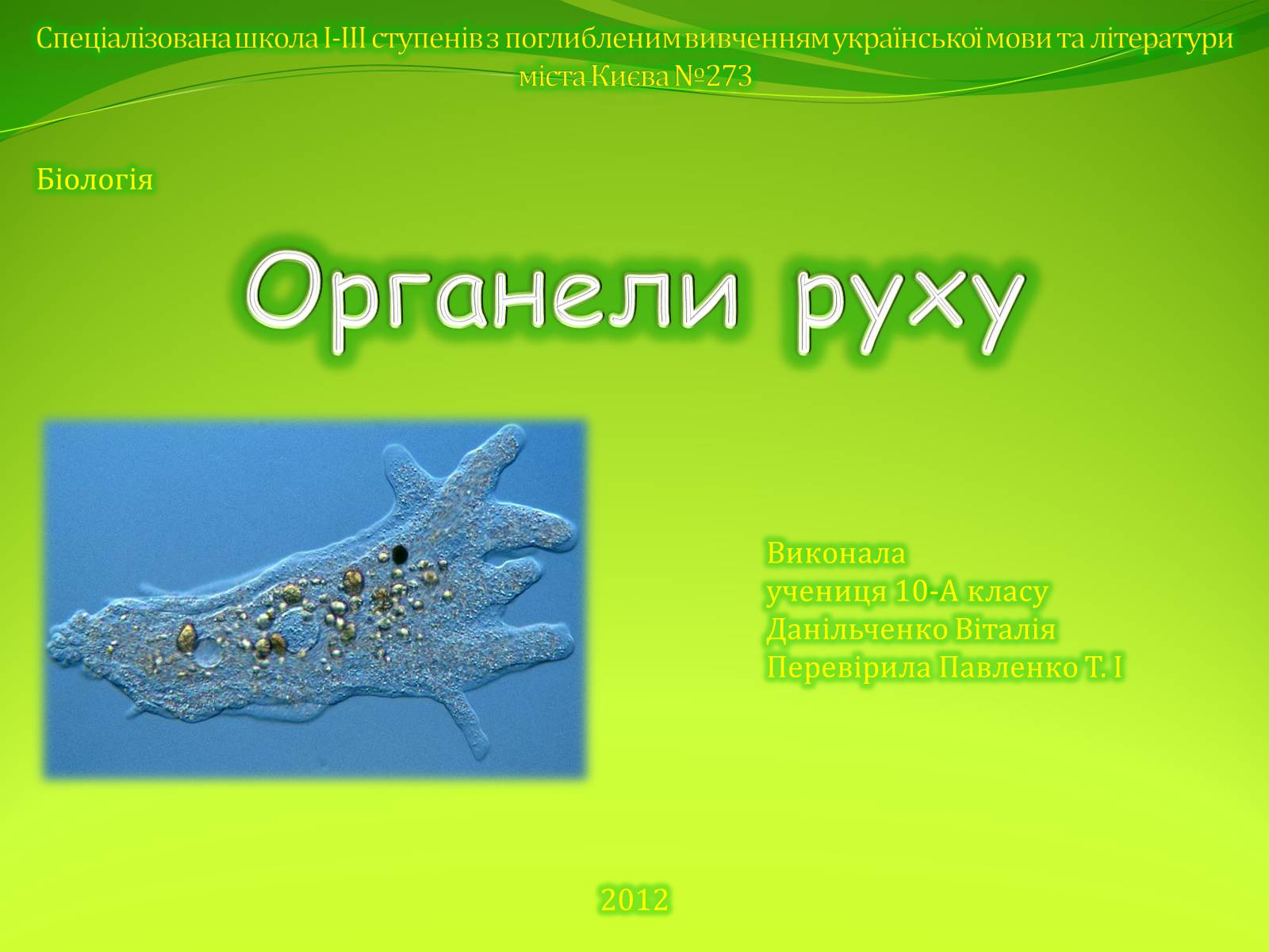 Презентація на тему «Органели руху» - Слайд #1 Презентація на тему «Органели руху» - Слайд #1