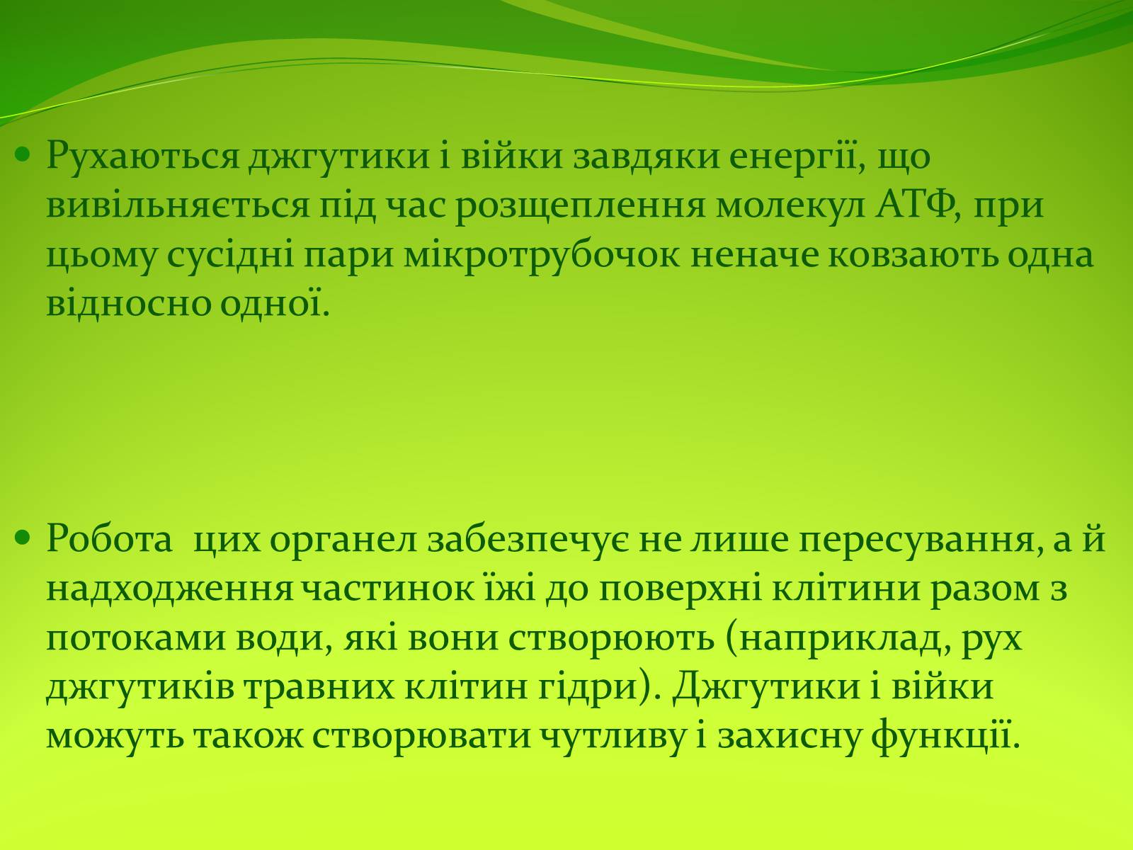 Презентація на тему «Органели руху» - Слайд #11 Презентація на тему «Органели руху» - Слайд #11