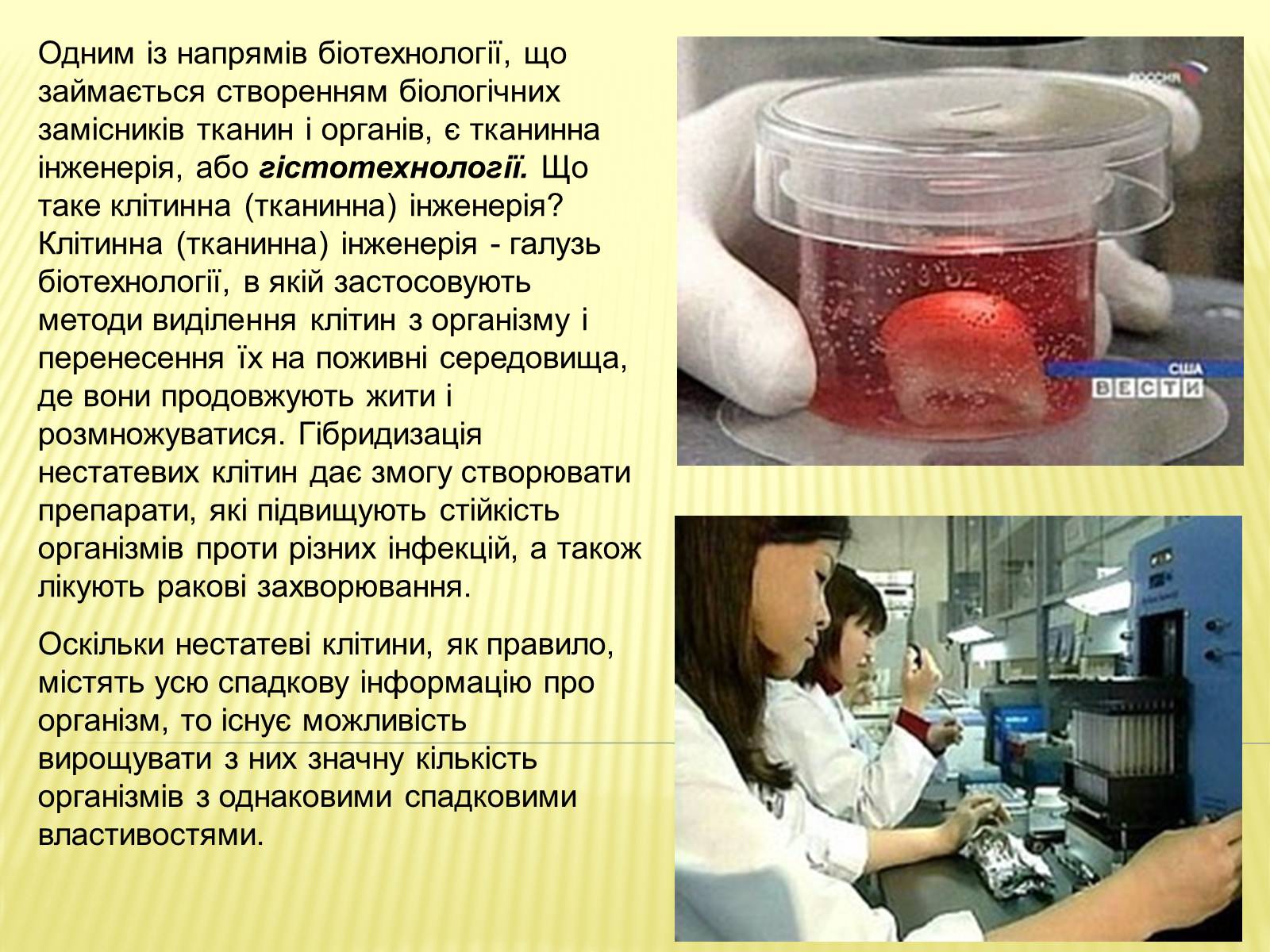 Презентація на тему «Гістотехнології» (варіант 1) - Слайд #3 Презентація на тему «Гістотехнології» (варіант 1) - Слайд #3