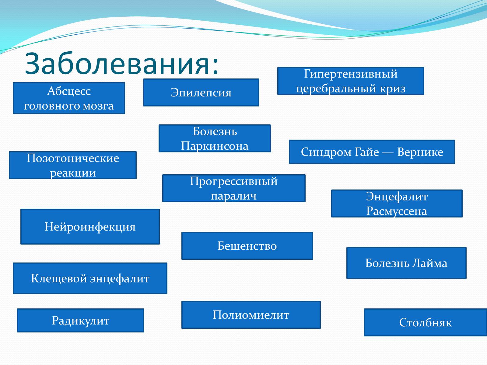 Презентація на тему «Нервная система человека» - Слайд #12 Презентація на тему «Нервная система человека» - Слайд #12