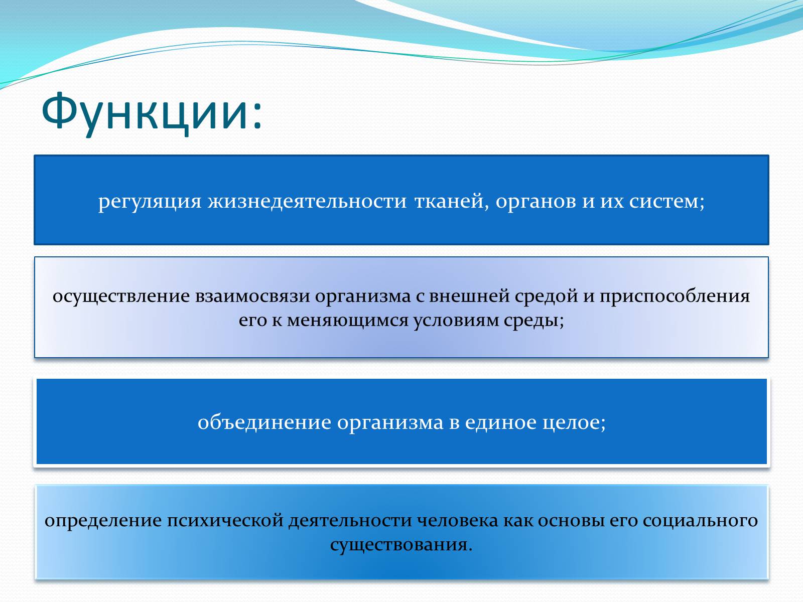 Презентація на тему «Нервная система человека» - Слайд #8 Презентація на тему «Нервная система человека» - Слайд #8
