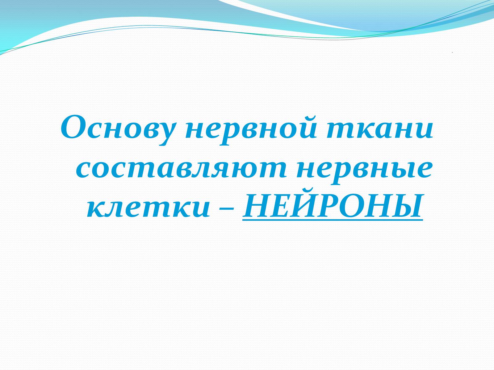 Презентація на тему «Нервная система человека» - Слайд #9 Презентація на тему «Нервная система человека» - Слайд #9